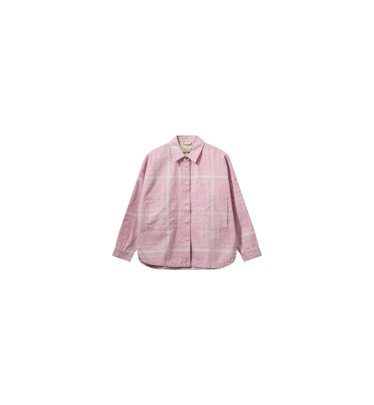 Packshot / Begonia Pink / Front