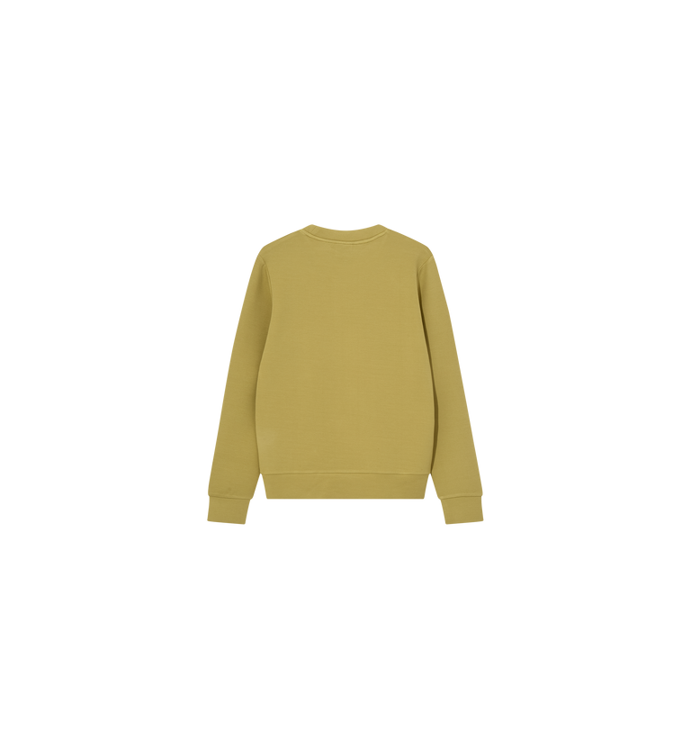 Packshot / Moss / Back