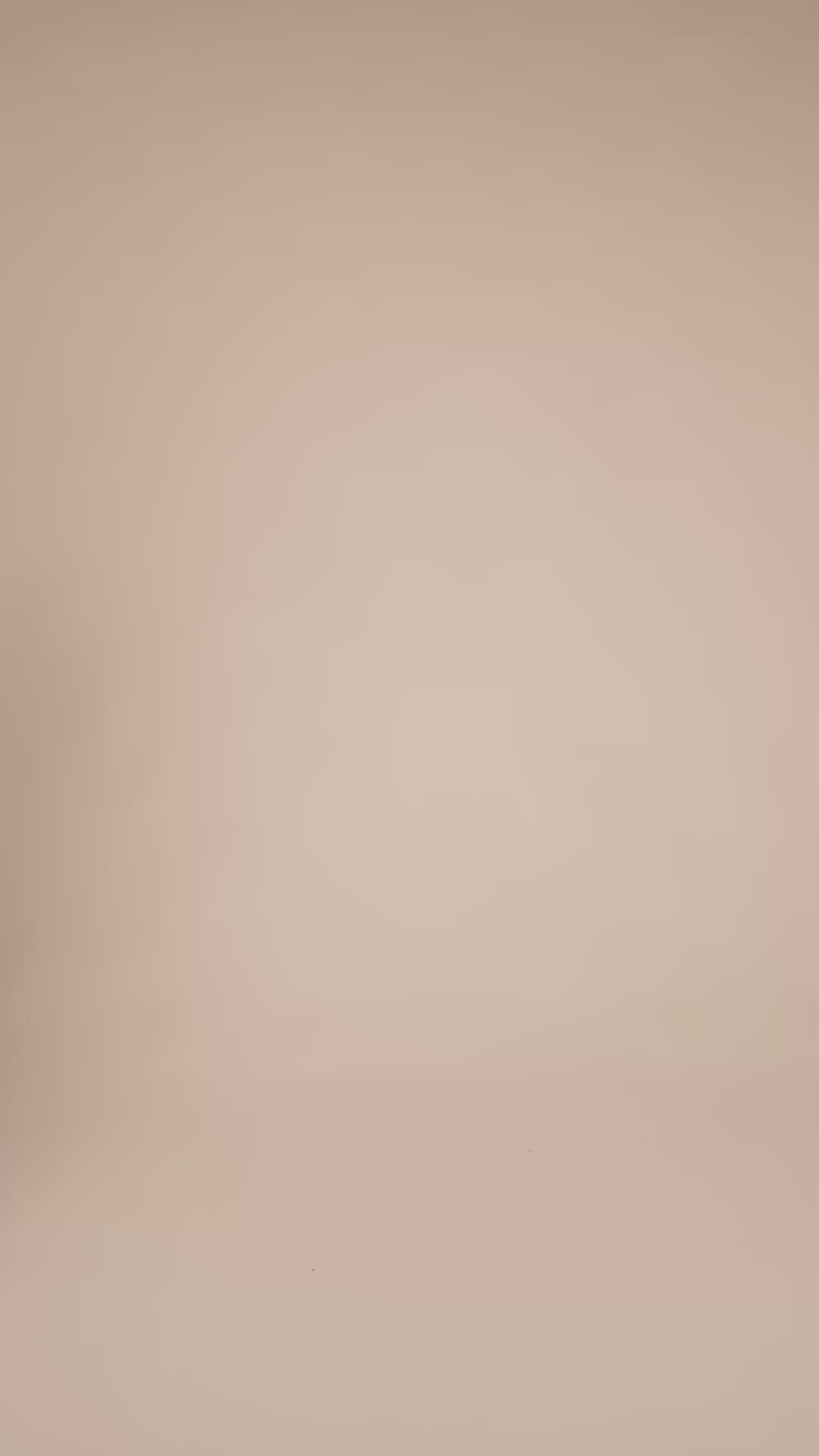 Modelshot / Toasted Nut / Detail